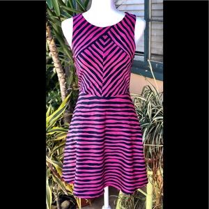 Xhilaration Navy Blue/Pink Striped Skater Dress